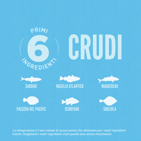 null - Product image 4.0